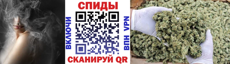 продажа наркотиков  omg   БУТИРАТ 99%  Курган 