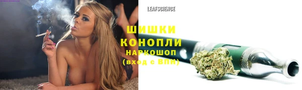 PSILOCYBIN Алексин
