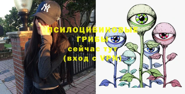 сатива Армянск