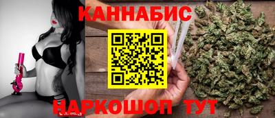 спайс Тара